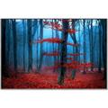 Picture of Mysterious Woods  _GroupedProduct_Rectangle_Landscape_Photography _GroupedProduct_Rectangle_Landscape_Canvas_Framed_