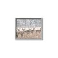 Picture of Oh Deer  _GroupedProduct_Rectangle_Landscape_Photography _GroupedProduct_Rectangle_Landscape_Canvas_Framed_