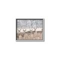 Picture of Oh Deer  _GroupedProduct_Rectangle_Landscape_Photography _GroupedProduct_Rectangle_Landscape_Canvas_Framed_
