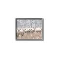 Picture of Oh Deer  _GroupedProduct_Rectangle_Landscape_Photography _GroupedProduct_Rectangle_Landscape_Canvas_Framed_