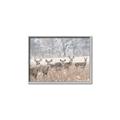 Picture of Oh Deer  _GroupedProduct_Rectangle_Landscape_Photography _GroupedProduct_Rectangle_Landscape_Canvas_Framed_