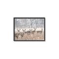 Picture of Oh Deer  _GroupedProduct_Rectangle_Landscape_Photography _GroupedProduct_Rectangle_Landscape_Canvas_Framed_