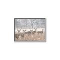 Picture of Oh Deer  _GroupedProduct_Rectangle_Landscape_Photography _GroupedProduct_Rectangle_Landscape_Canvas_Framed_