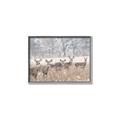 Picture of Oh Deer  _GroupedProduct_Rectangle_Landscape_Photography _GroupedProduct_Rectangle_Landscape_Canvas_Framed_