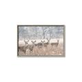 Picture of Oh Deer  _GroupedProduct_Rectangle_Landscape_Photography _GroupedProduct_Rectangle_Landscape_Canvas_Framed_