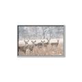 Picture of Oh Deer  _GroupedProduct_Rectangle_Landscape_Photography _GroupedProduct_Rectangle_Landscape_Canvas_Framed_