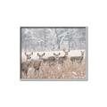 Picture of Oh Deer  _GroupedProduct_Rectangle_Landscape_Photography _GroupedProduct_Rectangle_Landscape_Canvas_Framed_