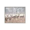 Picture of Oh Deer  _GroupedProduct_Rectangle_Landscape_Photography _GroupedProduct_Rectangle_Landscape_Canvas_Framed_