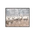 Picture of Oh Deer  _GroupedProduct_Rectangle_Landscape_Photography _GroupedProduct_Rectangle_Landscape_Canvas_Framed_