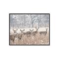 Picture of Oh Deer  _GroupedProduct_Rectangle_Landscape_Photography _GroupedProduct_Rectangle_Landscape_Canvas_Framed_