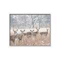 Picture of Oh Deer  _GroupedProduct_Rectangle_Landscape_Photography _GroupedProduct_Rectangle_Landscape_Canvas_Framed_