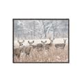Picture of Oh Deer  _GroupedProduct_Rectangle_Landscape_Photography _GroupedProduct_Rectangle_Landscape_Canvas_Framed_