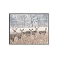 Picture of Oh Deer  _GroupedProduct_Rectangle_Landscape_Photography _GroupedProduct_Rectangle_Landscape_Canvas_Framed_