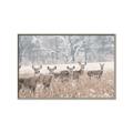 Picture of Oh Deer  _GroupedProduct_Rectangle_Landscape_Photography _GroupedProduct_Rectangle_Landscape_Canvas_Framed_