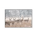 Picture of Oh Deer  _GroupedProduct_Rectangle_Landscape_Photography _GroupedProduct_Rectangle_Landscape_Canvas_Framed_