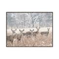 Picture of Oh Deer  _GroupedProduct_Rectangle_Landscape_Photography _GroupedProduct_Rectangle_Landscape_Canvas_Framed_