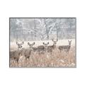 Picture of Oh Deer  _GroupedProduct_Rectangle_Landscape_Photography _GroupedProduct_Rectangle_Landscape_Canvas_Framed_