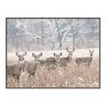 Picture of Oh Deer  _GroupedProduct_Rectangle_Landscape_Photography _GroupedProduct_Rectangle_Landscape_Canvas_Framed_
