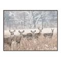 Picture of Oh Deer  _GroupedProduct_Rectangle_Landscape_Photography _GroupedProduct_Rectangle_Landscape_Canvas_Framed_