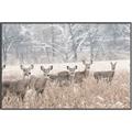 Picture of Oh Deer  _GroupedProduct_Rectangle_Landscape_Photography _GroupedProduct_Rectangle_Landscape_Canvas_Framed_
