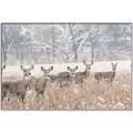 Picture of Oh Deer  _GroupedProduct_Rectangle_Landscape_Photography _GroupedProduct_Rectangle_Landscape_Canvas_Framed_