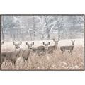 Picture of Oh Deer  _GroupedProduct_Rectangle_Landscape_Photography _GroupedProduct_Rectangle_Landscape_Canvas_Framed_