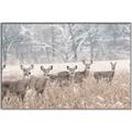 Picture of Oh Deer  _GroupedProduct_Rectangle_Landscape_Photography _GroupedProduct_Rectangle_Landscape_Canvas_Framed_