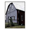 Picture of On the Farm  _GroupedProduct_Rectangle_Portrait_Canvas_Framed_