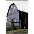 Picture of On the Farm  _GroupedProduct_Rectangle_Portrait_Canvas_Framed_