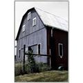 Picture of On the Farm  _GroupedProduct_Rectangle_Portrait_Canvas_Framed_
