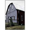 Picture of On the Farm  _GroupedProduct_Rectangle_Portrait_Canvas_Framed_