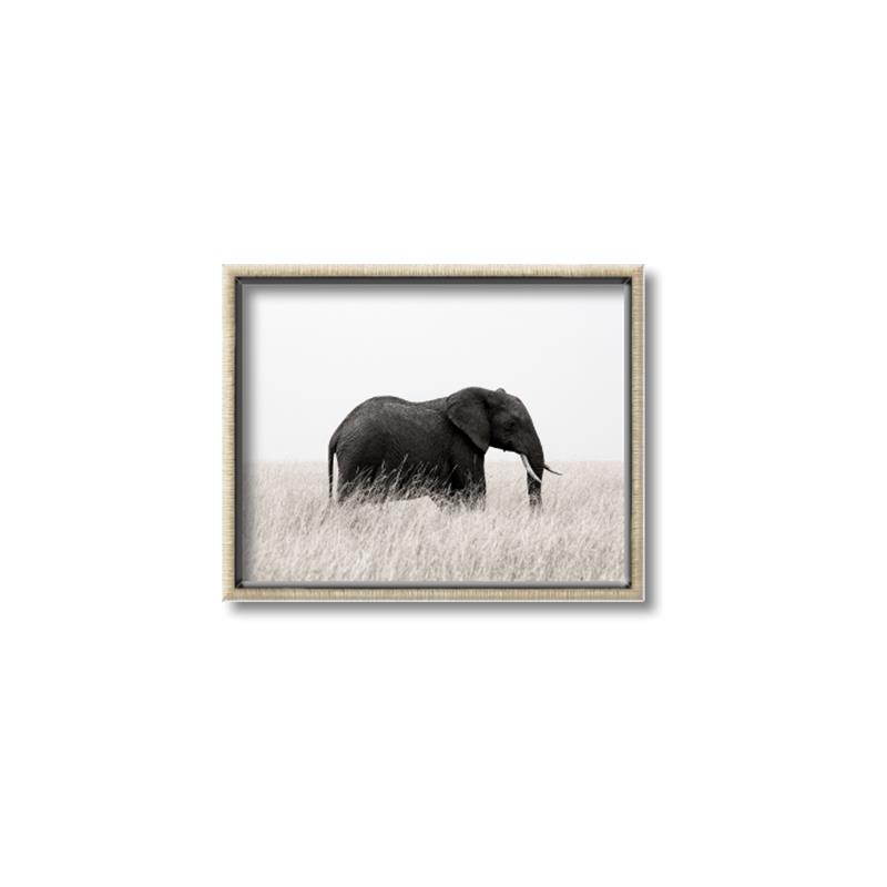 Picture of Out of Africa  _GroupedProduct_Rectangle_Landscape_Photography _GroupedProduct_Rectangle_Landscape_Canvas_Framed_
