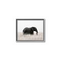 Picture of Out of Africa  _GroupedProduct_Rectangle_Landscape_Photography _GroupedProduct_Rectangle_Landscape_Canvas_Framed_