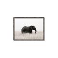 Picture of Out of Africa  _GroupedProduct_Rectangle_Landscape_Photography _GroupedProduct_Rectangle_Landscape_Canvas_Framed_
