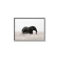 Picture of Out of Africa  _GroupedProduct_Rectangle_Landscape_Photography _GroupedProduct_Rectangle_Landscape_Canvas_Framed_