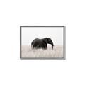 Picture of Out of Africa  _GroupedProduct_Rectangle_Landscape_Photography _GroupedProduct_Rectangle_Landscape_Canvas_Framed_
