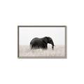 Picture of Out of Africa  _GroupedProduct_Rectangle_Landscape_Photography _GroupedProduct_Rectangle_Landscape_Canvas_Framed_