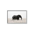 Picture of Out of Africa  _GroupedProduct_Rectangle_Landscape_Photography _GroupedProduct_Rectangle_Landscape_Canvas_Framed_