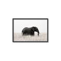 Picture of Out of Africa  _GroupedProduct_Rectangle_Landscape_Photography _GroupedProduct_Rectangle_Landscape_Canvas_Framed_