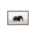 Picture of Out of Africa  _GroupedProduct_Rectangle_Landscape_Photography _GroupedProduct_Rectangle_Landscape_Canvas_Framed_