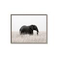 Picture of Out of Africa  _GroupedProduct_Rectangle_Landscape_Photography _GroupedProduct_Rectangle_Landscape_Canvas_Framed_