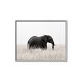 Picture of Out of Africa  _GroupedProduct_Rectangle_Landscape_Photography _GroupedProduct_Rectangle_Landscape_Canvas_Framed_