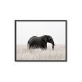 Picture of Out of Africa  _GroupedProduct_Rectangle_Landscape_Photography _GroupedProduct_Rectangle_Landscape_Canvas_Framed_