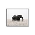 Picture of Out of Africa  _GroupedProduct_Rectangle_Landscape_Photography _GroupedProduct_Rectangle_Landscape_Canvas_Framed_