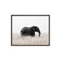 Picture of Out of Africa  _GroupedProduct_Rectangle_Landscape_Photography _GroupedProduct_Rectangle_Landscape_Canvas_Framed_