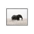 Picture of Out of Africa  _GroupedProduct_Rectangle_Landscape_Photography _GroupedProduct_Rectangle_Landscape_Canvas_Framed_