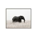 Picture of Out of Africa  _GroupedProduct_Rectangle_Landscape_Photography _GroupedProduct_Rectangle_Landscape_Canvas_Framed_