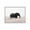 Picture of Out of Africa  _GroupedProduct_Rectangle_Landscape_Photography _GroupedProduct_Rectangle_Landscape_Canvas_Framed_