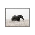 Picture of Out of Africa  _GroupedProduct_Rectangle_Landscape_Photography _GroupedProduct_Rectangle_Landscape_Canvas_Framed_