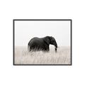 Picture of Out of Africa  _GroupedProduct_Rectangle_Landscape_Photography _GroupedProduct_Rectangle_Landscape_Canvas_Framed_
